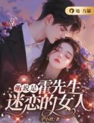 《听说是霍先生迷恋的女人》小说