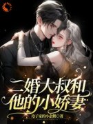 《花颜沈砚》小说章节列表精彩试
