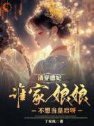 《清穿德妃：谁家娘娘不想当皇后