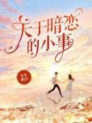 《关于暗恋的小事》小说完结版免