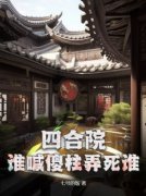 《何雨柱秦淮茹》小说章节目录在
