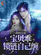 简安安陆御宸小说精彩章节免费试