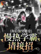 飞往我心上全文免费阅读 林宴清方
