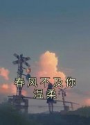 《春风不及你温柔》小说完结版免