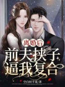 顾裴妍陆震霆全文在线阅读 离婚后
