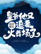 精品小说《顾雨绮顾思阳》侯府嫡