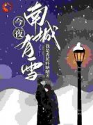 小说《陈雪沈谦南》今夜南城有雪