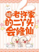 《嘘！老许家的二丫头会修仙》小