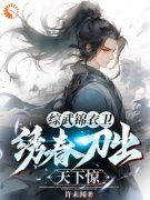 综武锦衣卫，绣春刀出天下惊许莫