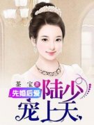 先婚后爱：陆少宠妻上天全文免费