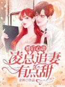 苏熙凌久泽先婚后爱：冷面霸总每