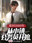《重回2000年：从小镇公务员开始崛