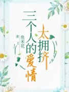 《三个人的爱情太拥挤》小说全集