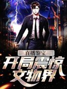 《直播鉴宝，开局震惊文物界》林