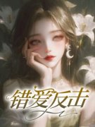 《沈南初陆以辰》完结版免费试读