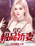 我的极品娇妻全文免费阅读 楚南沈