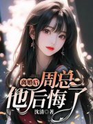 《离婚后，周总他后悔了》小说章