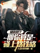 《直播：职业挑战，开局网约司机