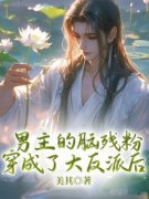 主角是男主的脑残粉穿成了大反派