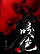 许禾柠季岫白精彩章节全文全集精