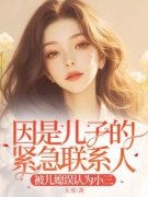 《孟娇娇郑卿玉》小说主角因是儿