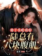 《林晚陆瑾》小说在线试读 《林晚