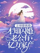 新书《唐意欢薄慕言》小说全集阅