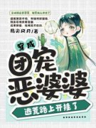 《盛姒许望安》大结局精彩试读 《