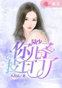 林念陆以尘(陆少，你儿子找上门了