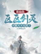许乘风皇一书名叫什么_谁说我区区
