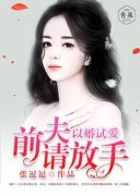 《以婚试爱，前夫请放手》小说章