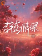 辞鸢情深》精彩章节列表在线试读