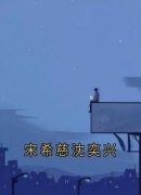 《宋希慈沈奕兴》完整版在线阅读