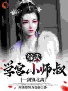 《李清风李长生》综武：学宫小师