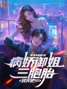 《江辞苏烟雪》小说章节列表在线