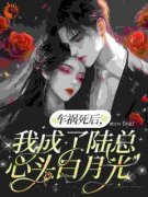 【都市爽文】车祸死后，我成了陆