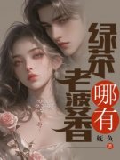《老婆哪有绿茶香》沈时谦夏南月