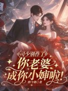 主角是司少别作了，你老婆成你小