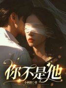 《你不是他》全文阅读 白雪沈宇小