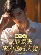 离婚后，家庭煮夫成为芯片大佬(主