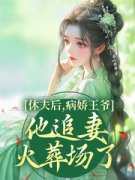 好书推荐《宋宁沈恒之》休夫后，