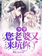 少爷，您老婆又来坑你了全章节免