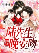 《盛世婚宠：陆先生，晚安吻！》