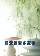 宋昭昭裴堰全本资源下载APP 宦宠深