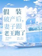沈云苏箐小说 假装破产后，妻子跟