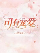 《司有宠爱》免费试读 沈南初司云