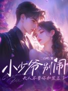 《小少爷别闹，夫人不要你和裴总