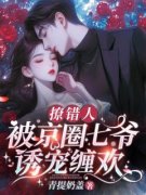 《撩错人，被京圈七爷诱宠缠欢》