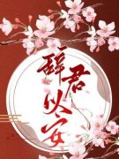 《辞君以安》完结版免费阅读 《辞