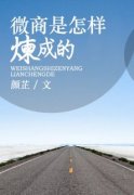 《微商是怎样炼成的》小说全文免